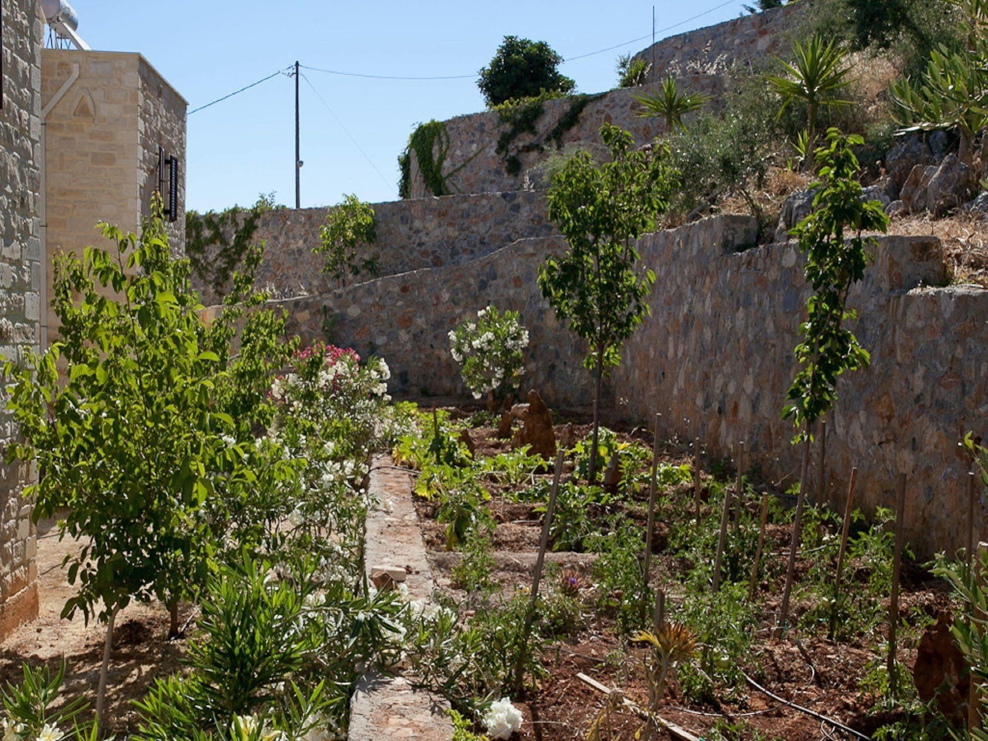 Kokkino Chorio Villa Apollo - Saint George'S Retreat Village מראה חיצוני תמונה